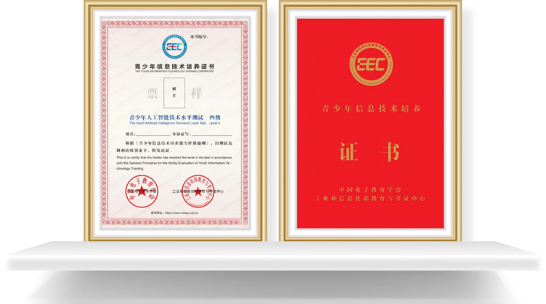 图片8(网站).png